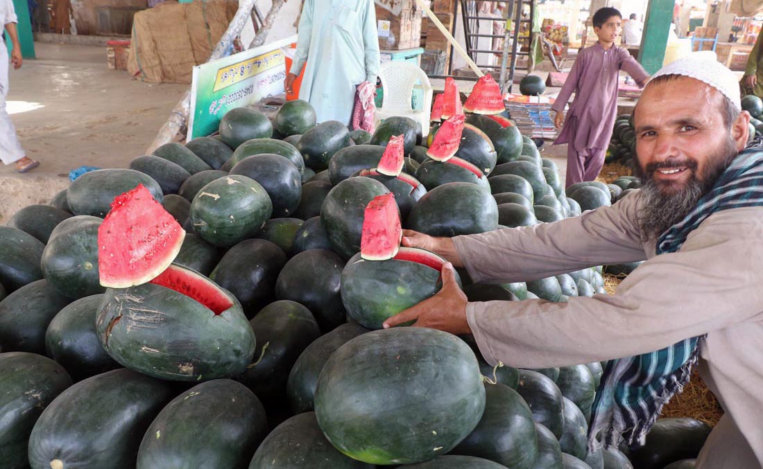 Bumper watermelon harvest pushes prices down in Pakistan Arab News PK