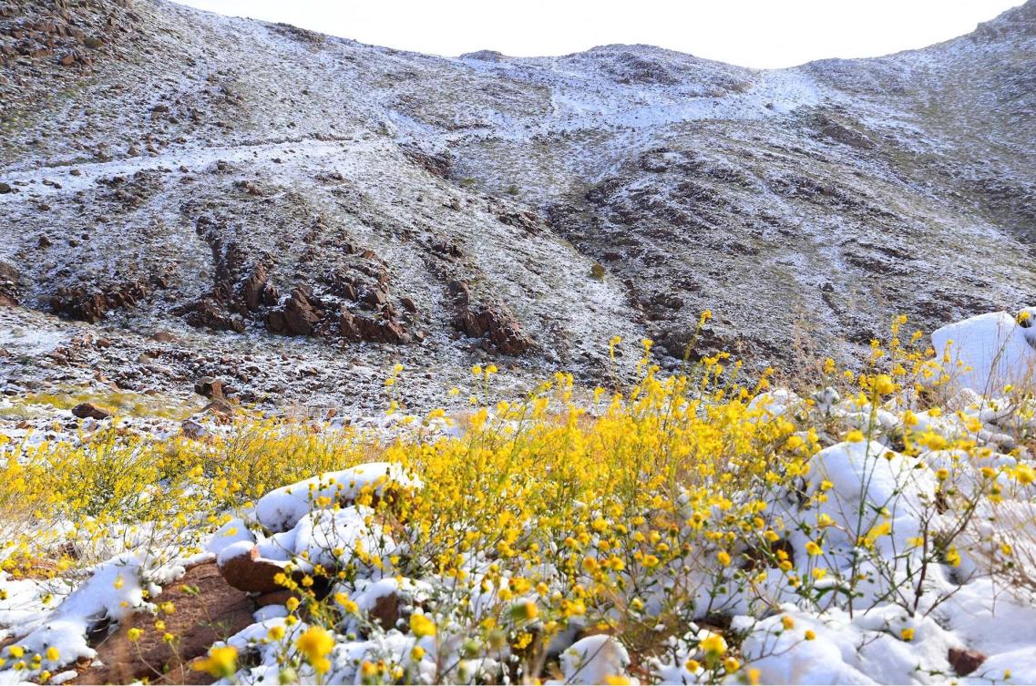 Spring snowfall in Saudi Arabia delights residents Arab News PK