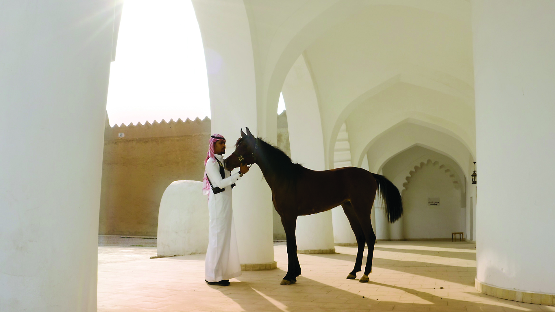 Horseback riding Arab News PK
