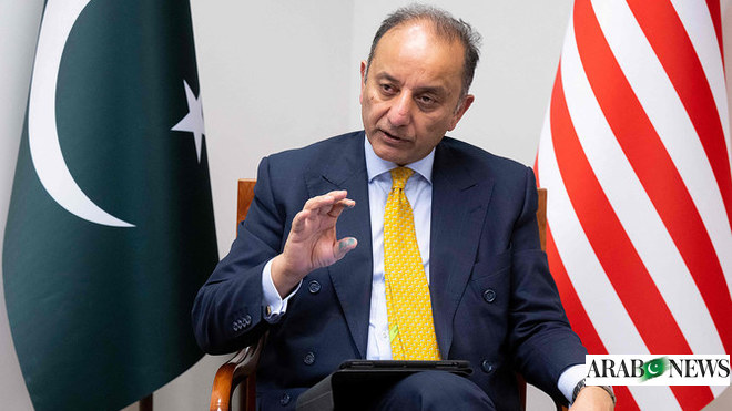 Pakistan ‘petroleum relief’ scheme delayed until IMF concerns addressed – minister