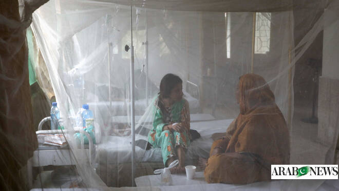 Pakistan’s Sindh reports first dengue-related death of this year  Arab News PK