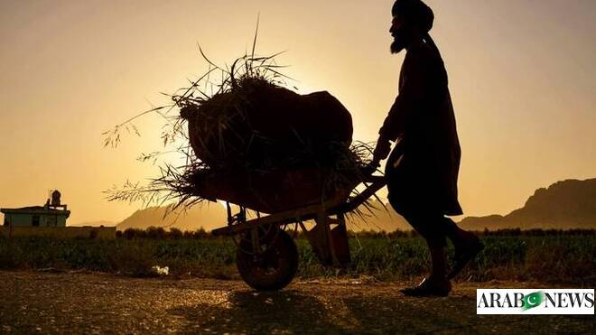 Handling of UK Afghan data breach ‘alarming’: MP – Arab News PK  www.arabnews.pk