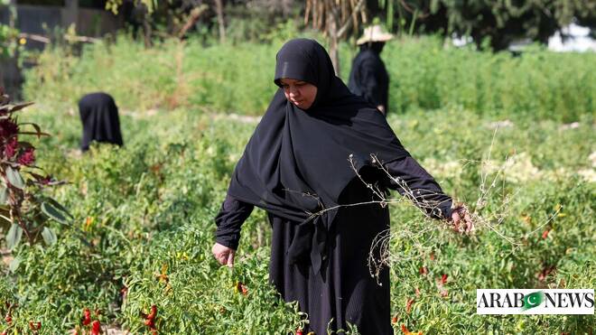 Nearly a year after truce, women in south Lebanon say war never ended  www.arabnews.pk