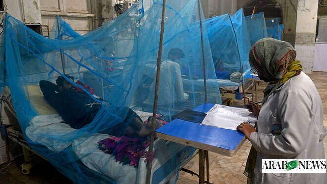 Pakistan’s Sindh reports nearly 1,000 new dengue cases amid disease outbreak  Arab News PK