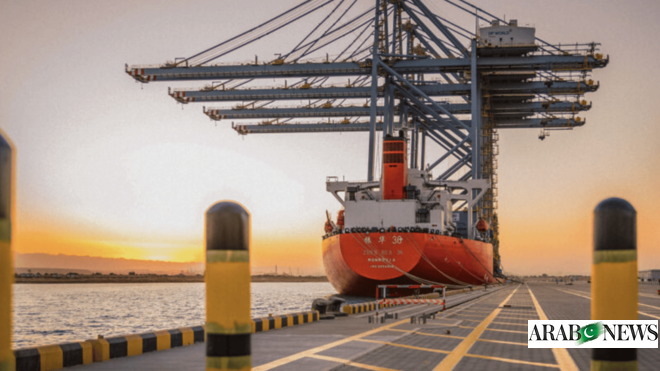 Egypt’s Suez Canal Economic Zone reports 55% revenue surge, approves new projects