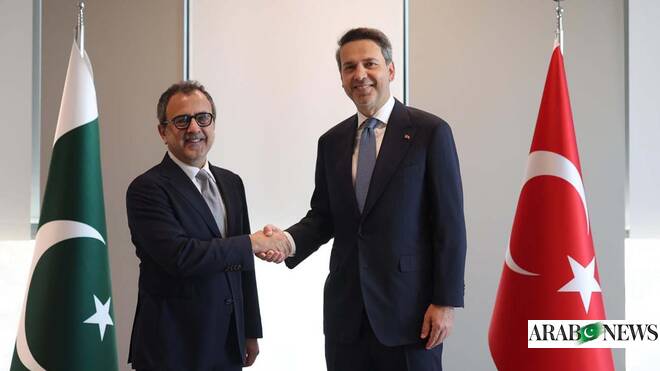 Türkiye offers technical support for Pakistan’s power sector reforms, privatization