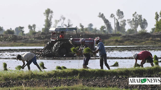 Pakistan proposes agriculture working group with Spain, seeks higher farm exports