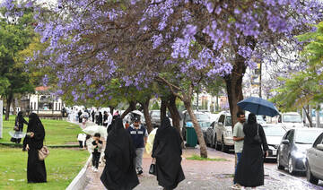 Tourism represents the economy of the future, being an industry that remains vibrant and does not deplete. (SPA)