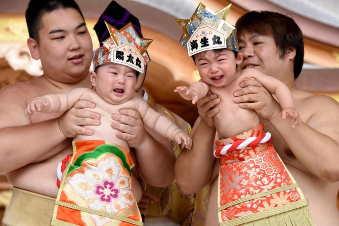 sumo rice for baby