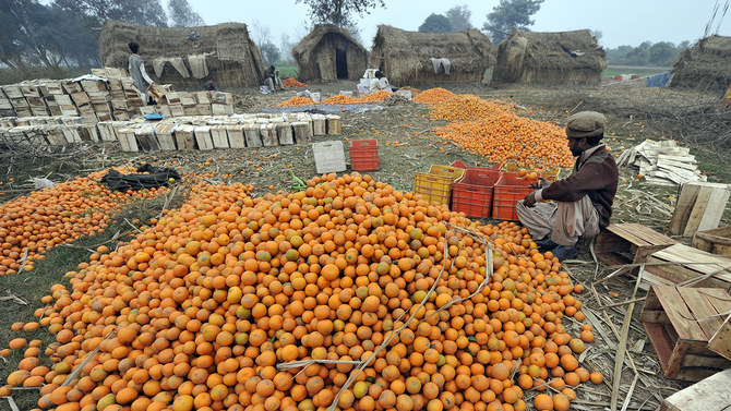 Pakistan targets $195 million through kinnow export this year | Arab News PK