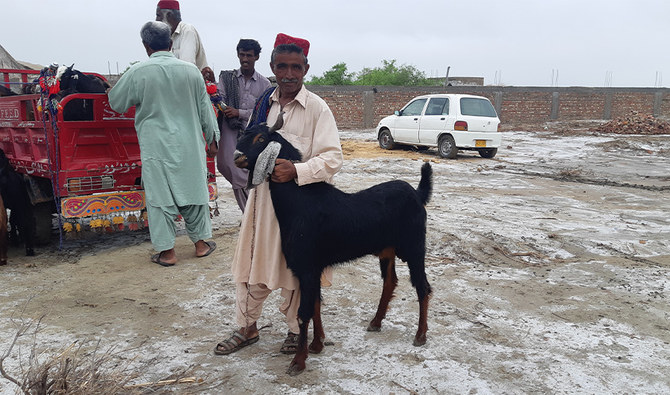 Sacrificial animals raised on organic diet 'double' Eid celebrations in  Pakistan's white desert | Arab News PK