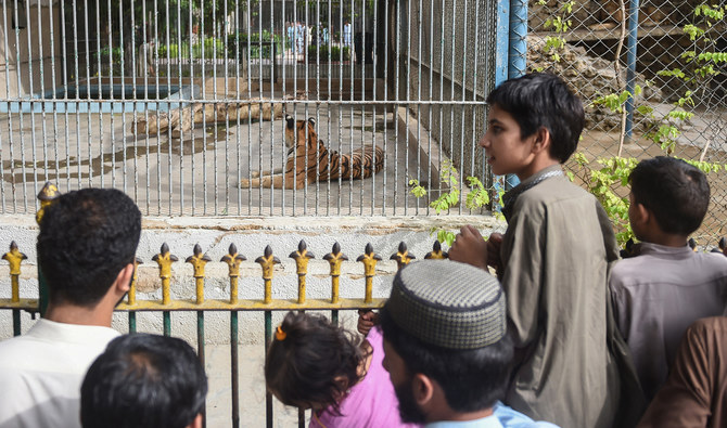 Activists demand closure of Karachi Zoo after video of starving animals  circulates on social media | Arab News PK