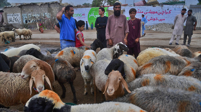 Ahead of Eid, Sindh struggles to keep animals with viruses out of livestock  market | Arab News PK