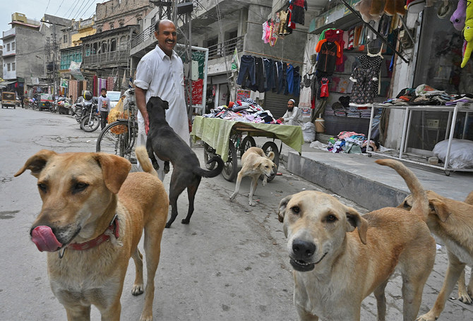 In a first, Pakistan to introduce animal welfare course for Islamabad's  schools | Arab News PK