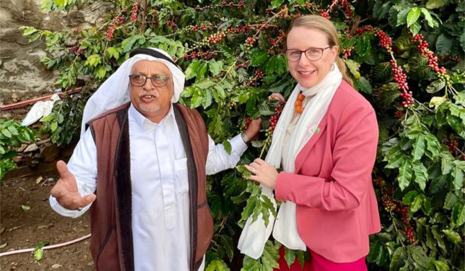 india visit visa saudi arabia