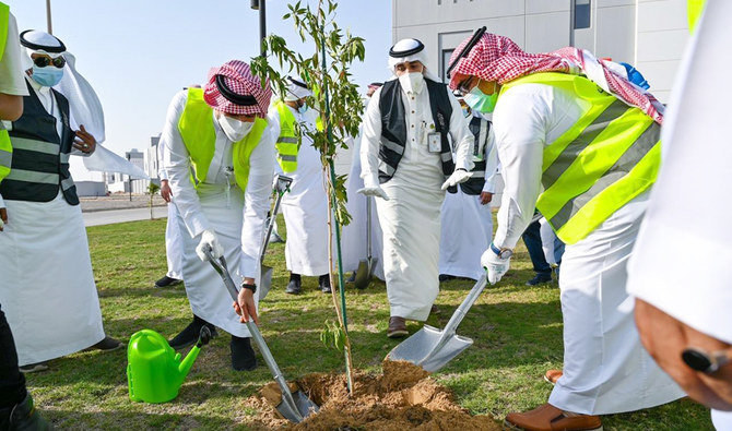 The initiative involves planting a staggering 10 billion trees in Saudi Arabia alone. (AN file photo)