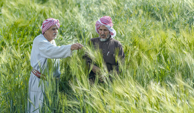 In order to optimize Saudi Arabia's food systems, both the public and private sectors must work together. (SPA)