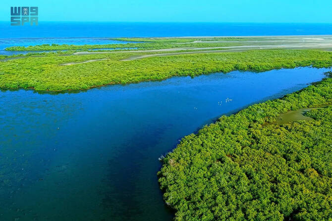 Saudi conservation now runs on data