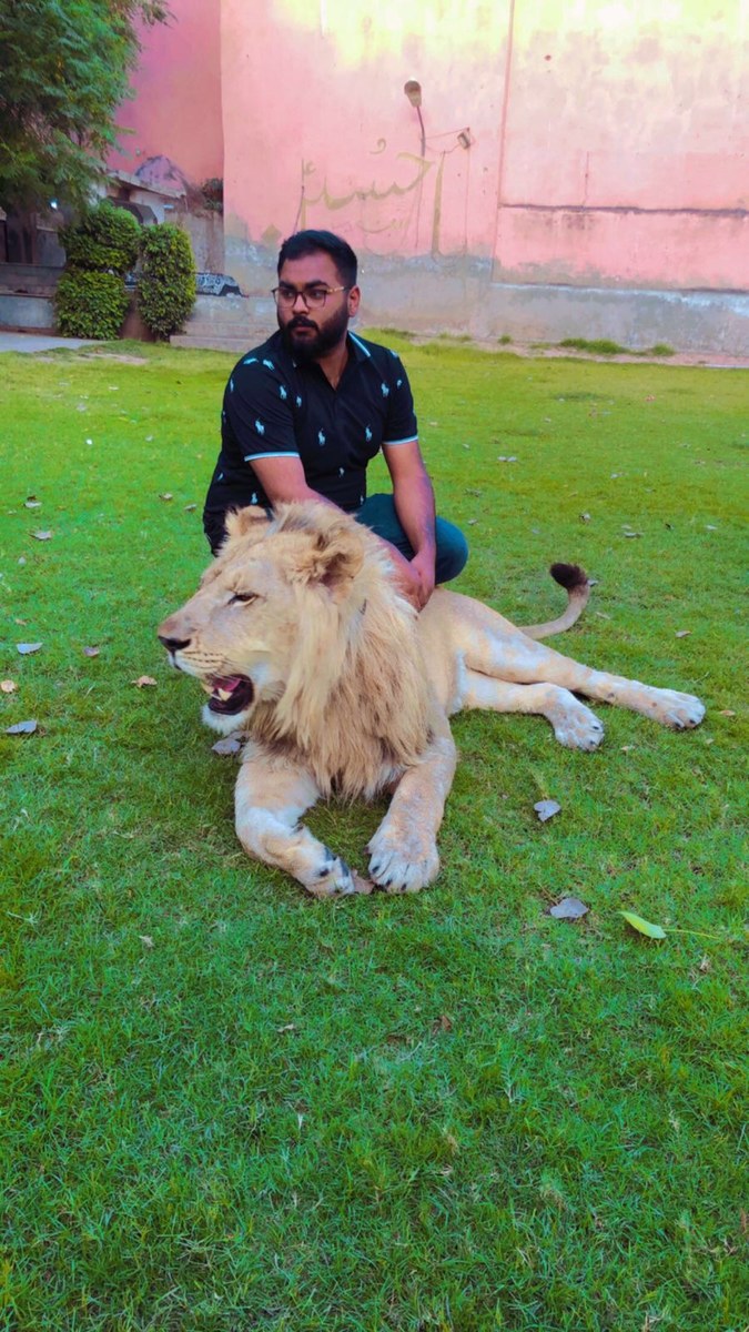 Love is tough': Affluent Pakistanis increasingly keep, then abandon, exotic  pet lions | Arab News PK